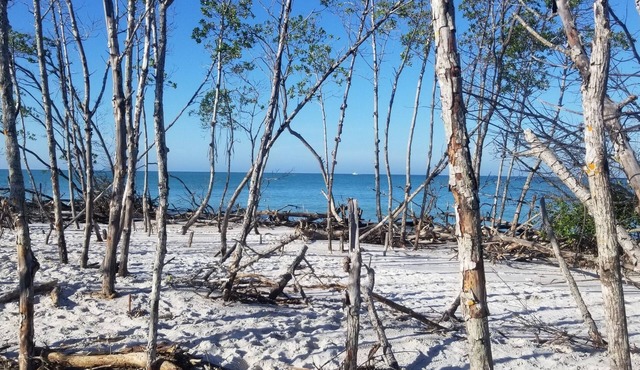 Longboat Key , Beach , Pool , Dock , Canal , Boat Access. Kayak rentals, Fishing