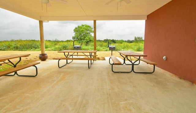 Longhorn Museum Tour! 3 Pet-friendly Units w/ Private Kitchens & Free Parking!