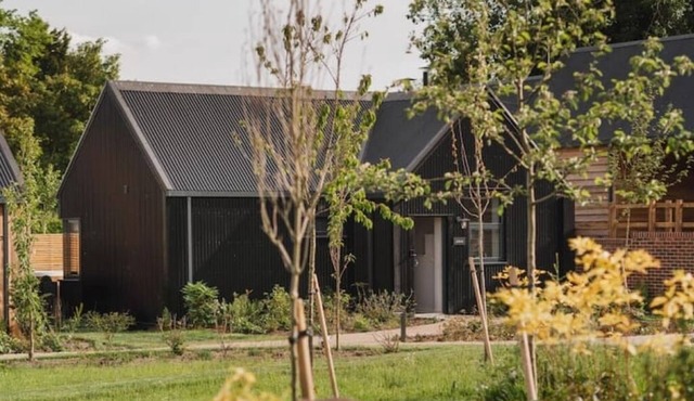 Longstones Avebury – Adam