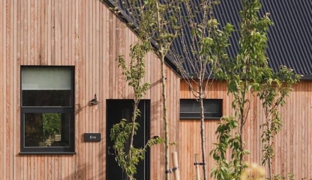 Longstones Avebury - Eve