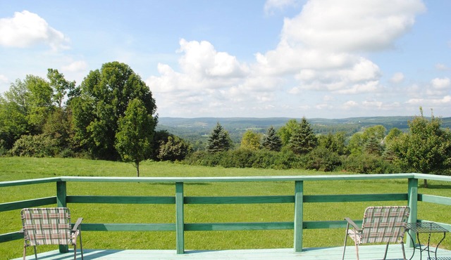 Longview Cottage with views to compliment its name and close to cooperstown