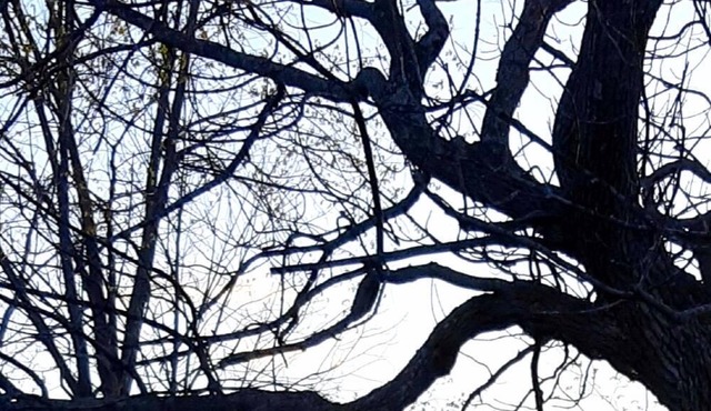 Longview: Private Hilltop Chalet on 88 Acres