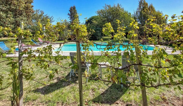 Look forward to an exciting vacation in this comfortable apartment with pool access.