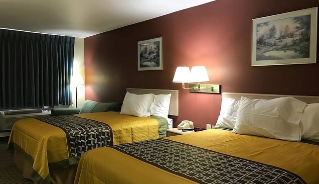 Look No Further! 4 Relaxing Units, Free Parking & Breakfast, Near Library Park