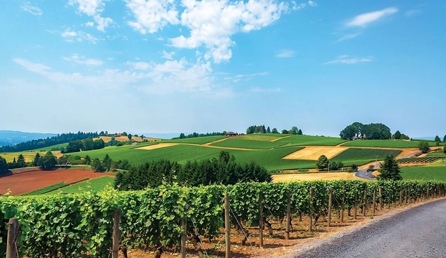 Look No Further! Free Parking, Pool, Near Wings and Waves Waterpark!