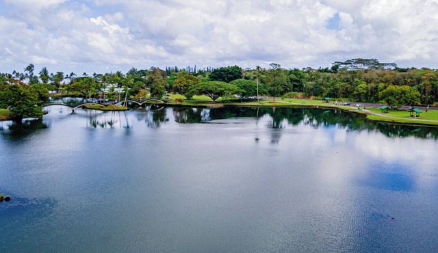 LOOK! Studio Condo in Downtown Hilo: Lagoon Views, Pool, AC