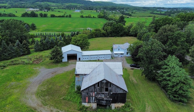 Looking for a getaway in the woods close to the city?(pet friendly, party?)