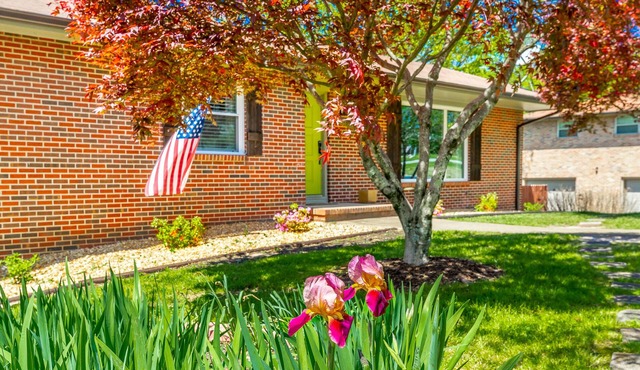 Lookout Mtn View! STEAM Shower, Fenced Yard 🐶⛰️