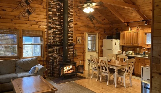 Loon Lake Log Cabin with canoe and kayaks, fire pit, and game room!