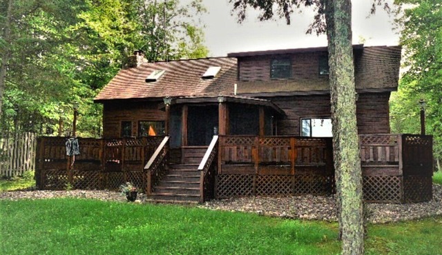 Loon Landing on Schnur Lake