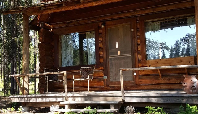 "Loon's Nest" rustic cabin hidden amongst the pines