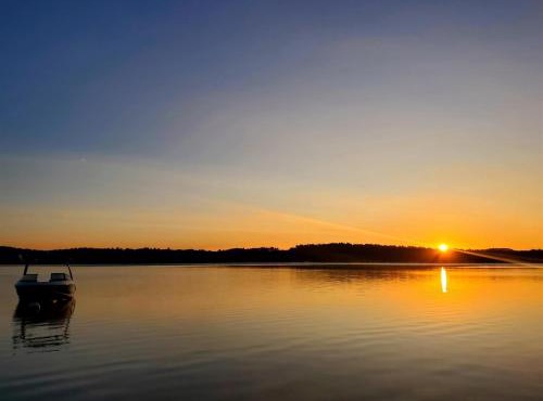 LOONS VIEW LIMIT 20