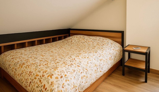 Loos duplex with darts & sofa bed near Lille