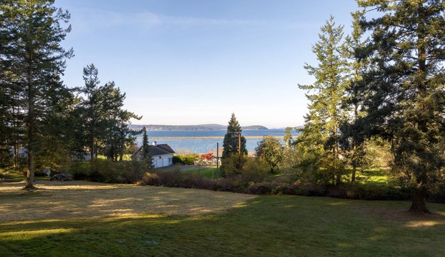 Lopez Island, Pebbles on Bayshore #308