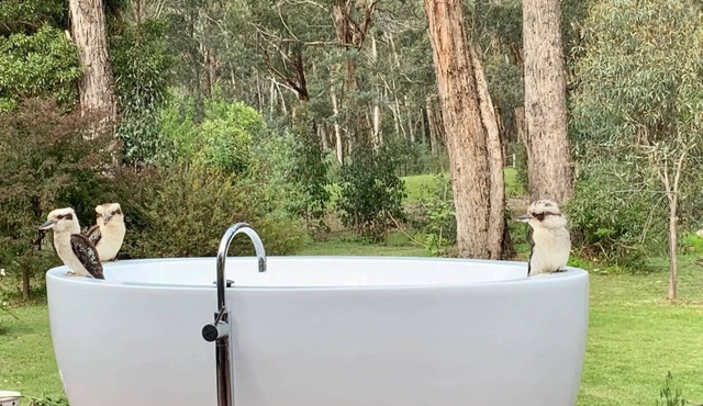 Lorien Summary: Escap