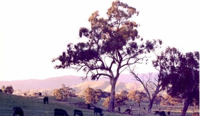 Lorralynbra Holiday House