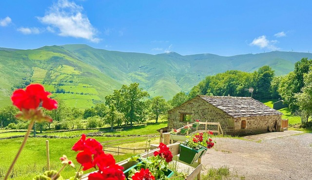 Los Caballos: Your Perfect Cabin