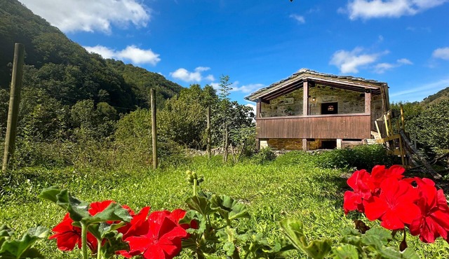 Los Ríos: Spectacular Cabin between two incredible rivers