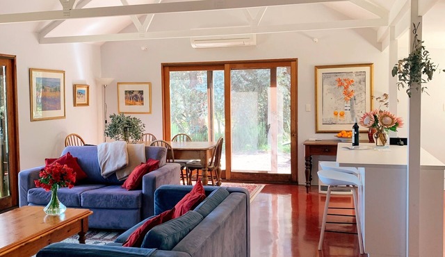 Lost in the Vines. Vineyard Escape.