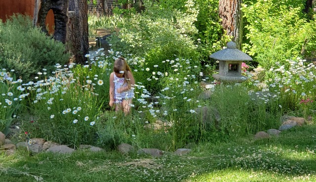 Lost Sierra Mountain Home