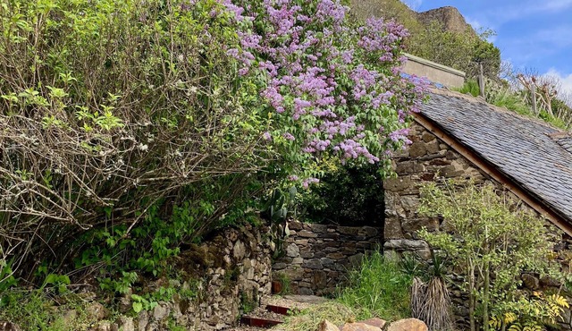 "Lou Cambrou" Cottage/Gîte located in the historic quarter of the Fortress of Najac