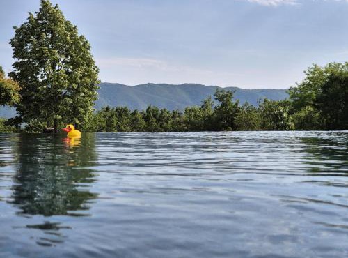 Lou damisello - Villa moderne