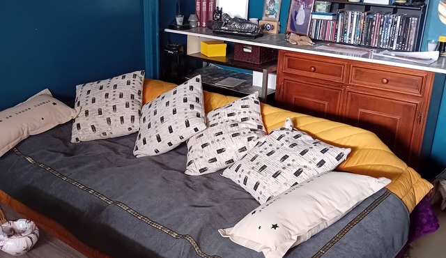 Loue Chambre Toute Refaite à Neuf Meublé Literie Linge de lit et de Toilette