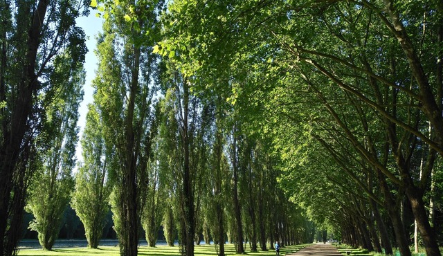 Louer un Charmant 3 Pièces de 62m²