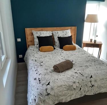 LOUHANS Les Petites Arcades avec ses deux appartements coté seille et coté jardin