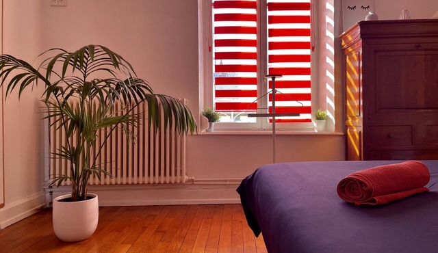 Louis: Charming 2-bedroom apartment in the center of Vittel (free parking)