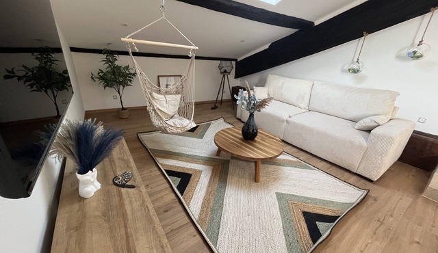 Louis Xiv, Le Somail