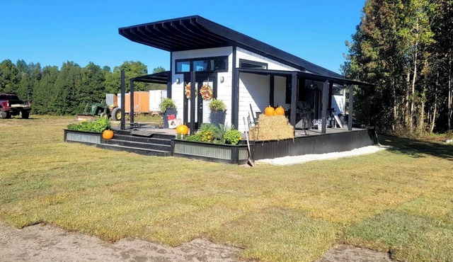 Love Highland Cows? Experience them up close in our tiny house in Jefferson, SC