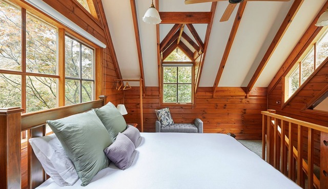 Love in the Mist cabin (new listing)