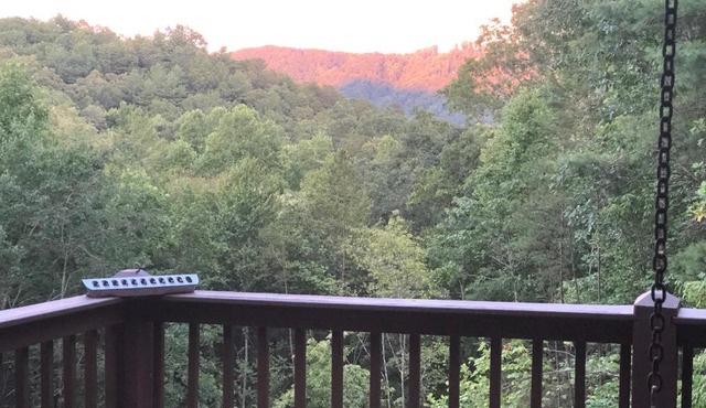 Love Nest in Blue Ridge