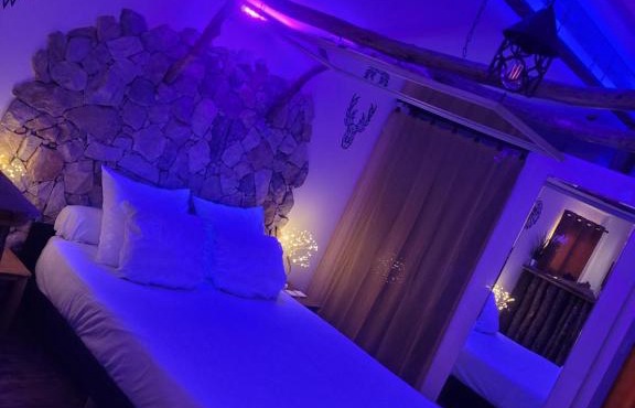 LOVE Room Danslesbois avec spa
