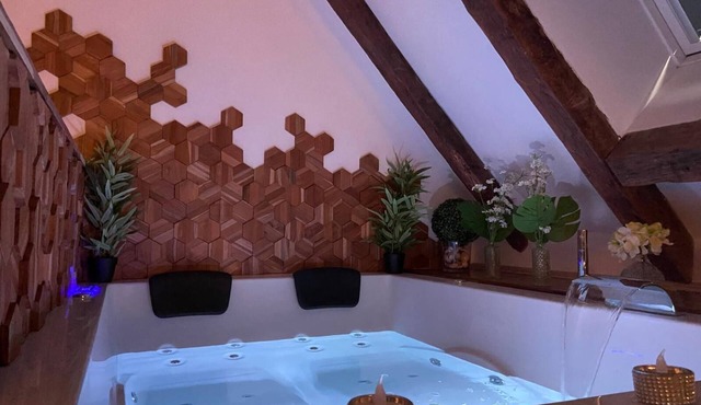 Love Room downtown with Jacuzzi