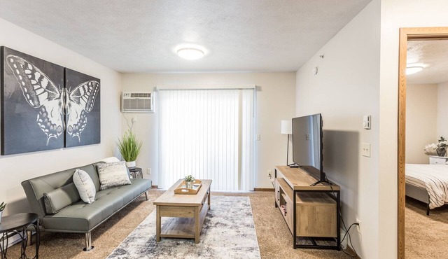 Lovely 1 BD Ideal for Traveling Professionals!
