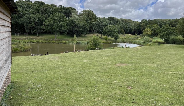 Lovely 1-Bed Cottage in rural cowbeech Hailsham