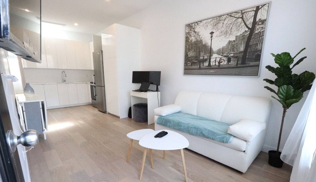 Lovely 1 bedroom appartement in heart of plateau