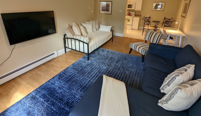Lovely 1 Bedroom Condo With Free Parking & Wifi