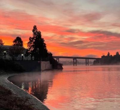 Lovely 1 bedroom condo on the Narrows