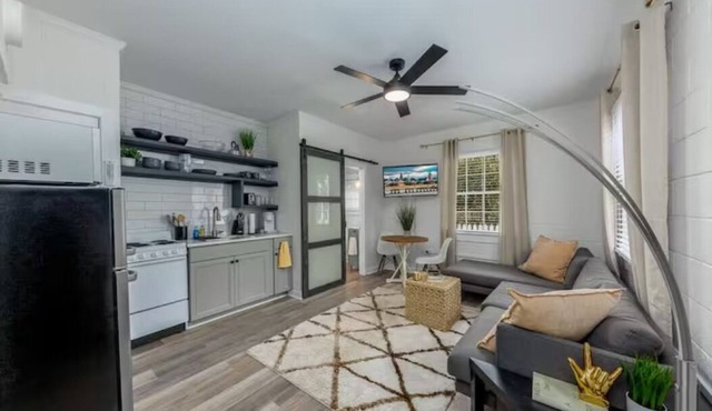 Lovely 1 BR with King bed Apt 3