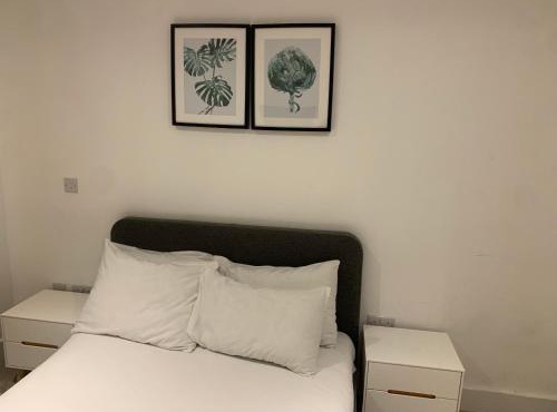 Lovely 1Bed flat 10mins to Canary Wharf & parking