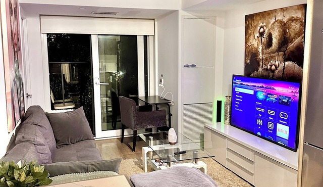 Lovely 1Br Condo in the heart of downtown Toronto