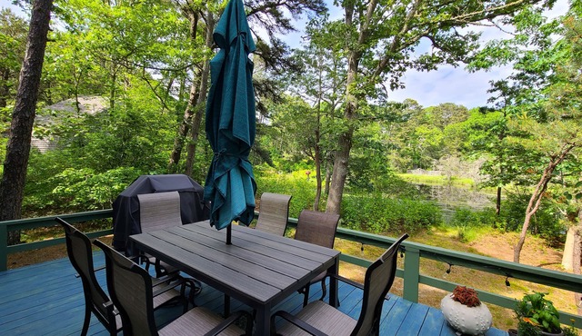 Lovely 2+ BD Cottage--A/C, Deck with Pond Views, Great Location