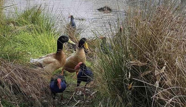 Lovely 2 bedroom apartment across from Shepp Lake.