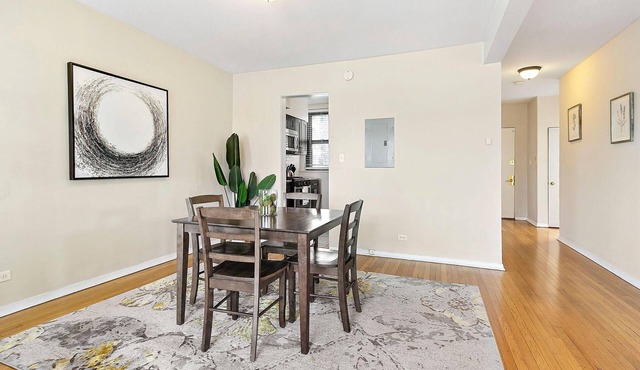 Lovely 2-bedroom apartment with AC in Skokie