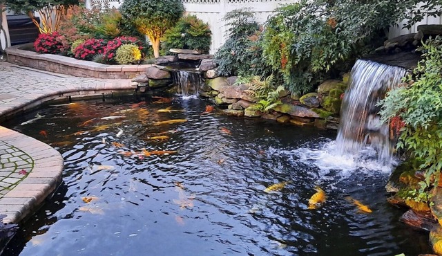 Lovely 2-bedroom brick home in pleasant Hanover with a backyard oasis