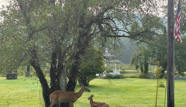 Lovely 2-bedroom house private 2ac setting. Hiking, swimming, kayaking, skiing.