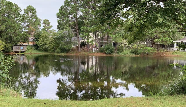 Lovely 2 bedroom on lake between 2 beaches!